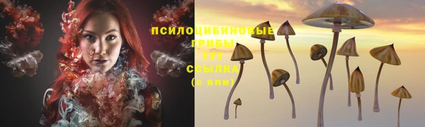 амф Магадан