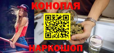 Альфа ПВП Малгобек