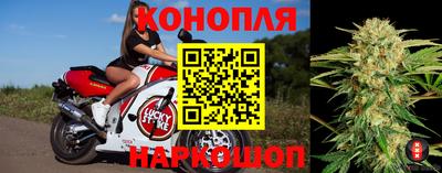 Альфа ПВП Малгобек