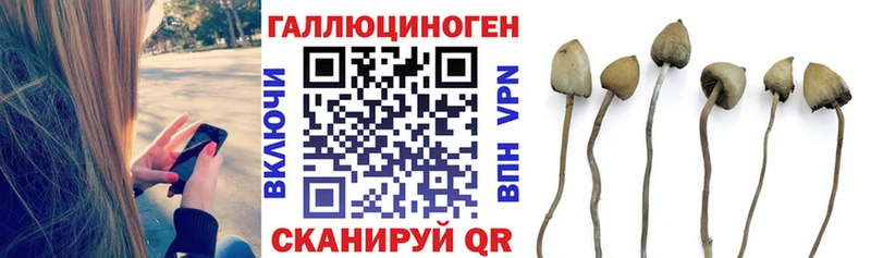 купить закладку  Симферополь  Галлюциногенные грибы мицелий 