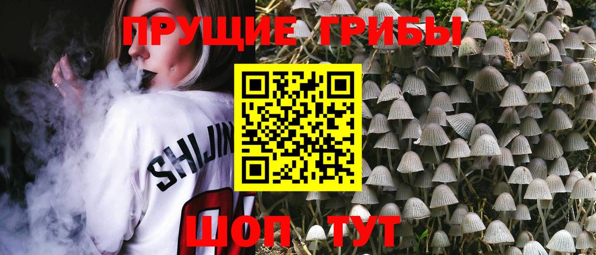 Псилоцибиновые грибы мухоморы Симферополь